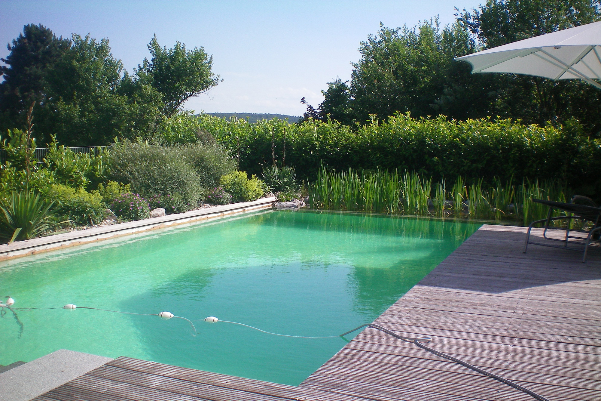 Schwimmteiche und Naturpools Schwimmteiche und Naturpools